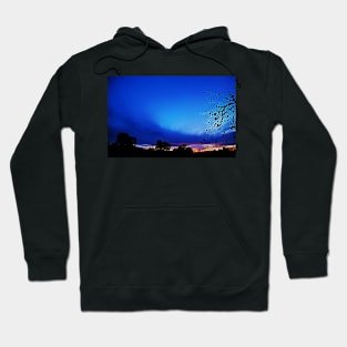 Sunset- Tucson, Arizona Hoodie